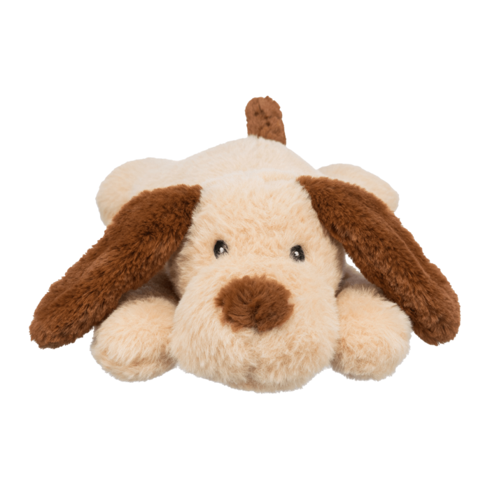Cane "BENNY"