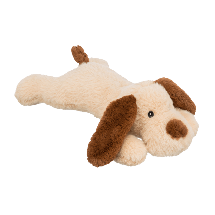 Cane "BENNY" - immagine 2