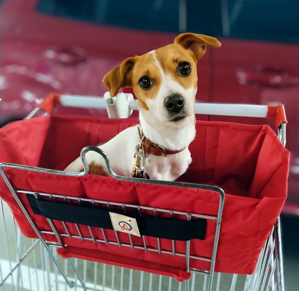 Cestello cane per fare la sesa EasyCart codeAspasso