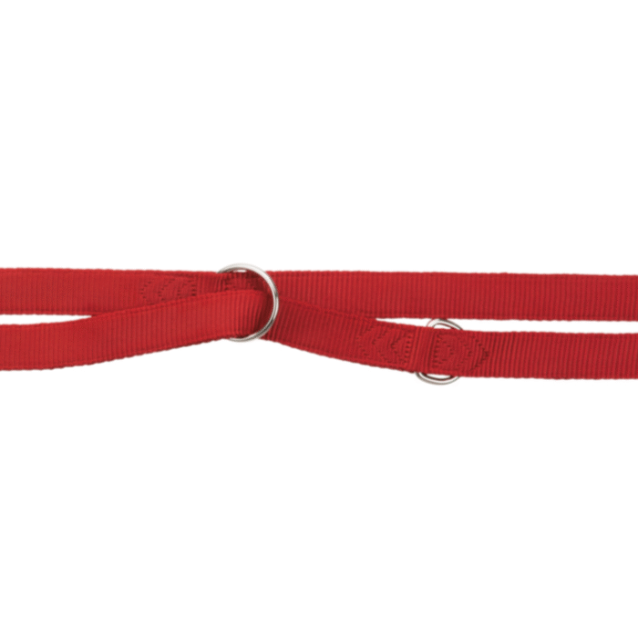 Guinzaglio Addestramento Nylon rosso - immagine 3