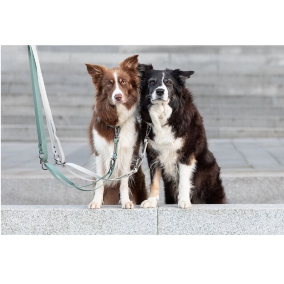 CityStyle Guinzaglio Addestramento PVC - immagine 6