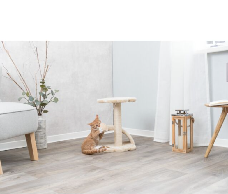 Tiragraffi Vittoria Junior - immagine 3