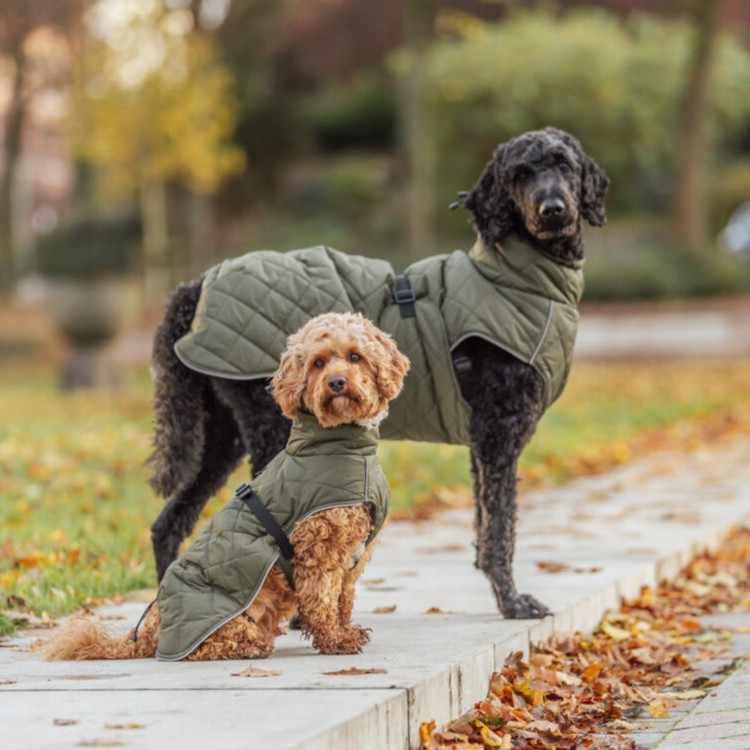 Cappottino Minot - immagine 7