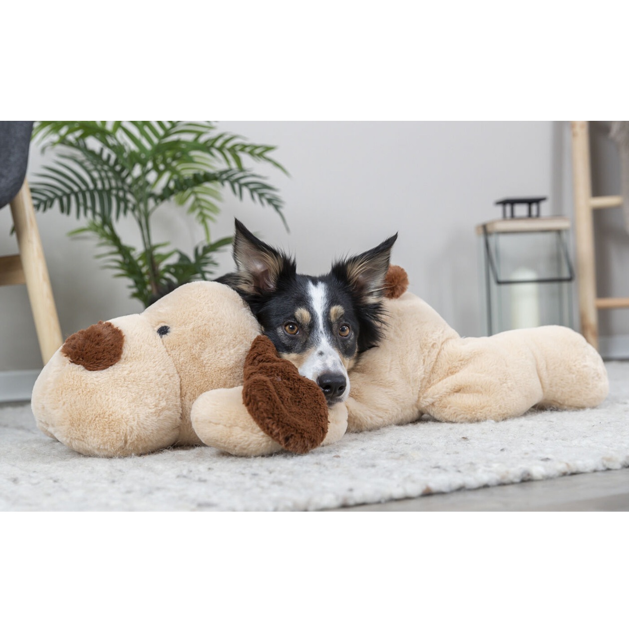 Cane "BENNY" gigante - immagine 3