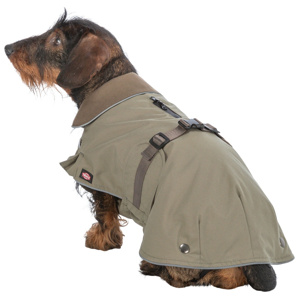 Cappottino Hermy - immagine 3