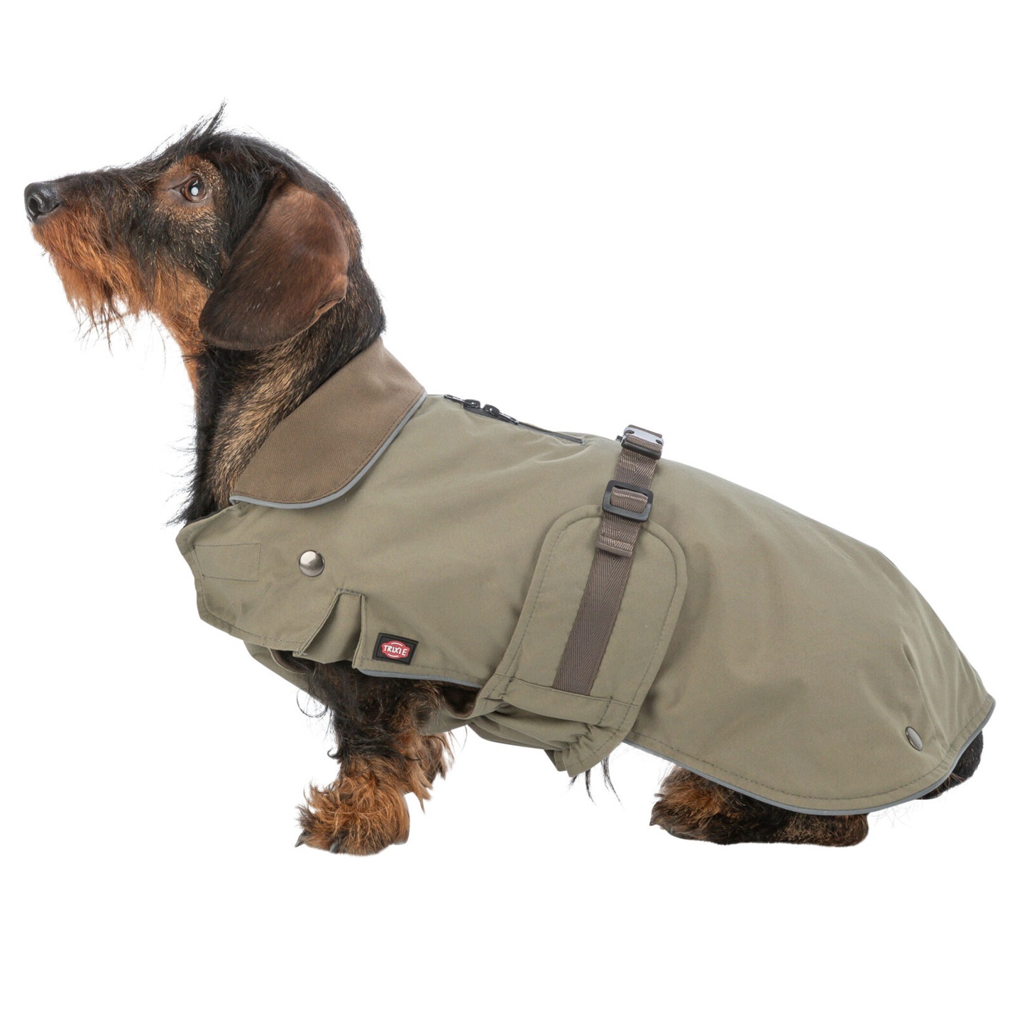 Cappottino Hermy - immagine 4