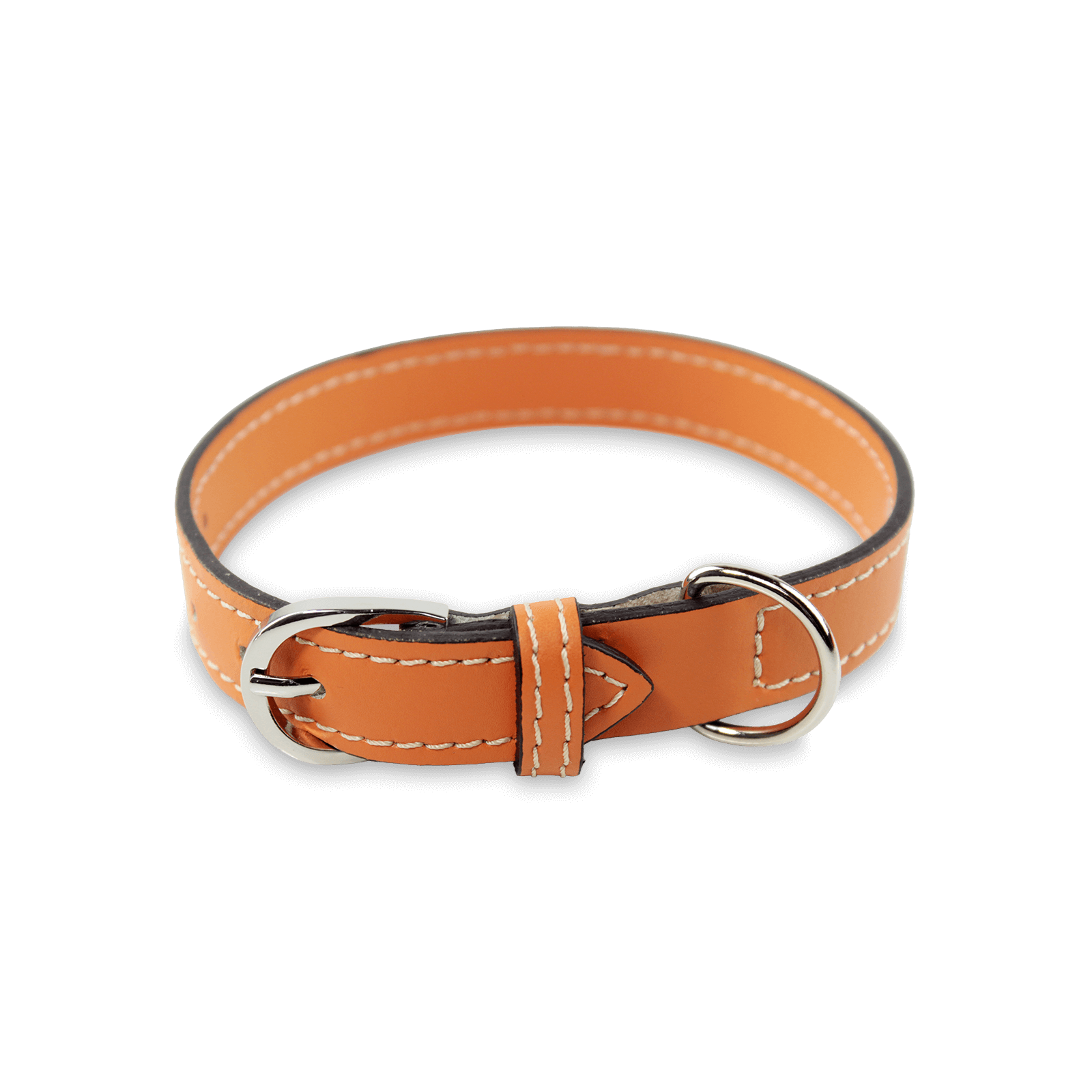 collarino pelle per cane