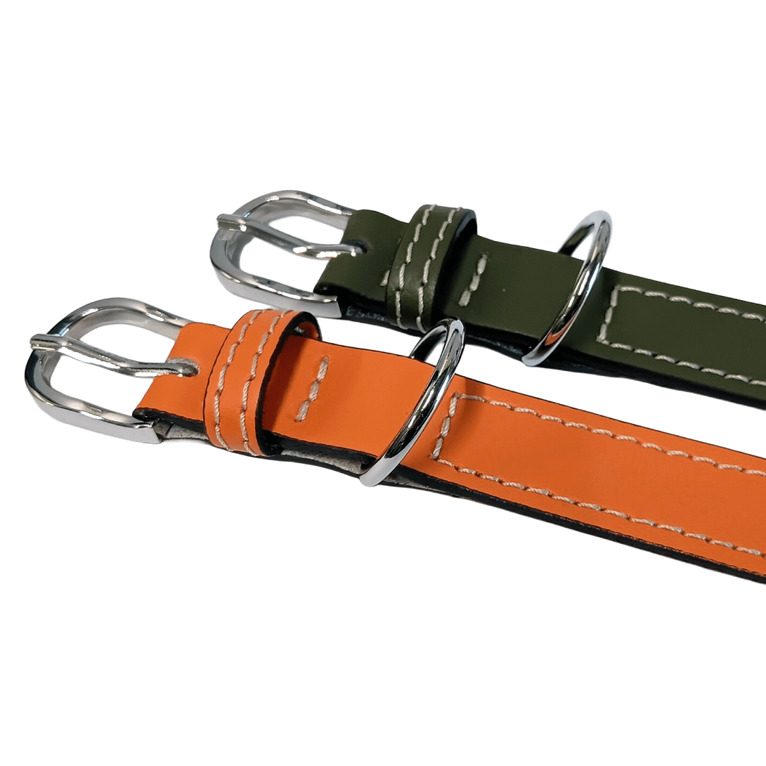 collarino pelle per cane