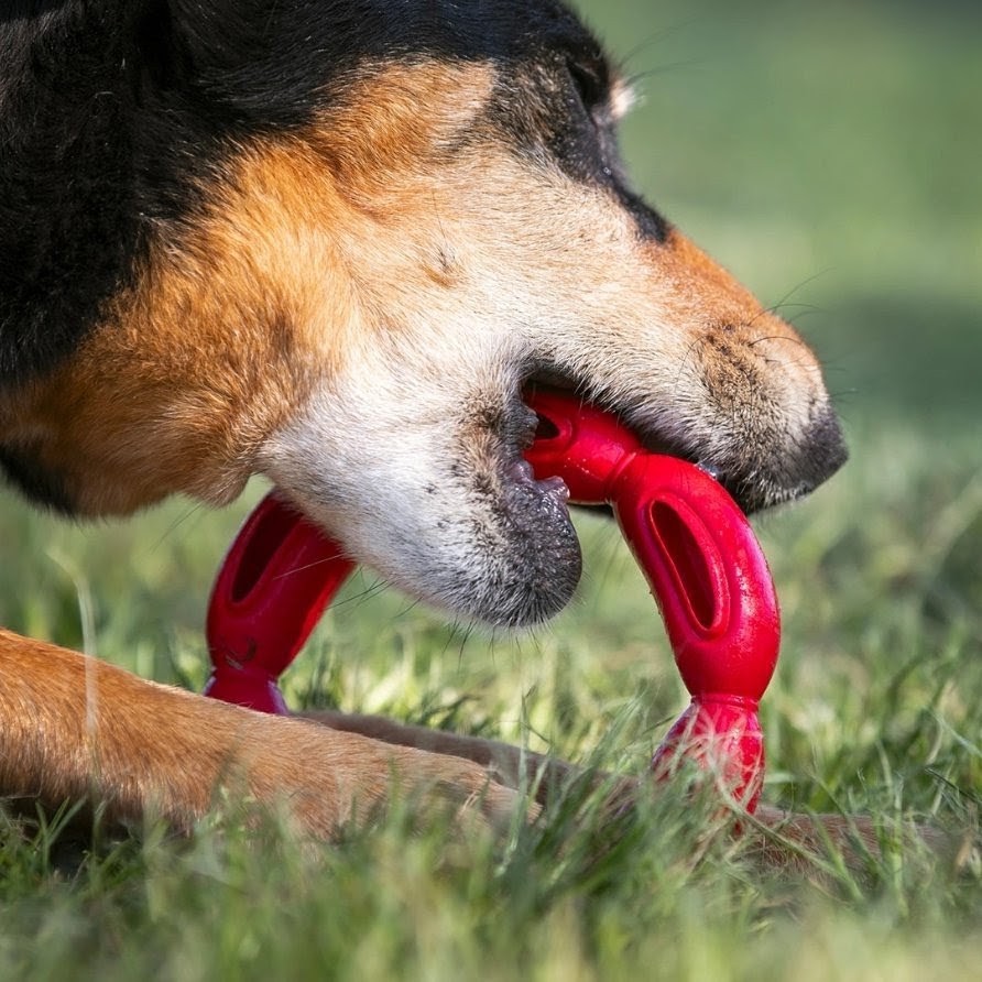Gioco per cani Huladog Big - immagine 4